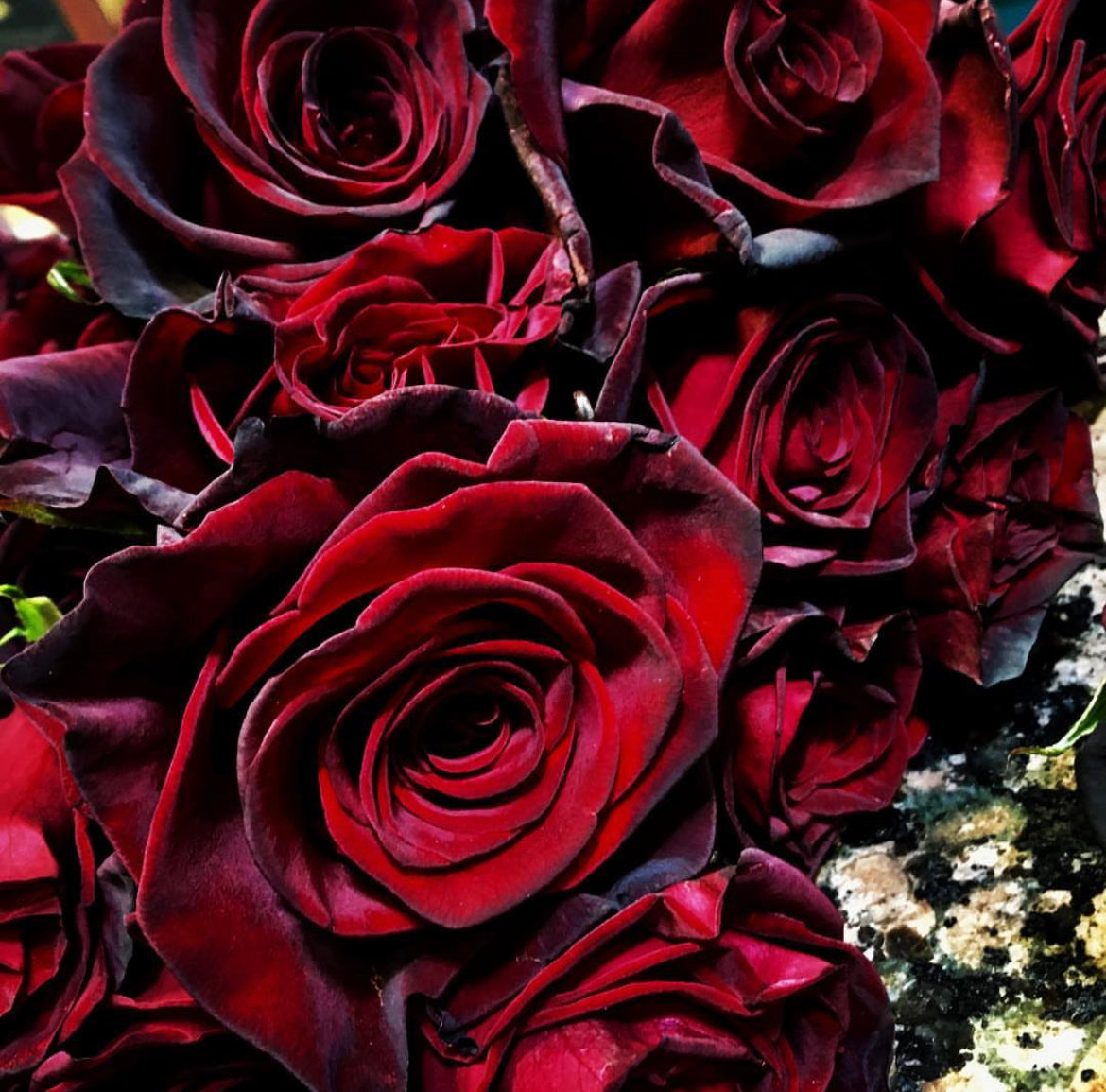 Large premium Spokase dyed-black spray roses bouquet wrapped in elegant black Korean-style paper