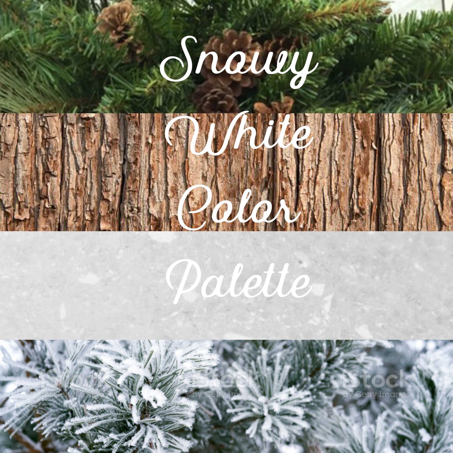 Snowy White Color Palette