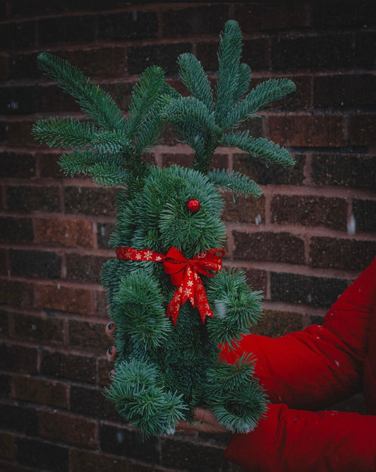 A handmade deer figure made of green Noble Fir with a red bow and a decorative red nose, held against a brick wall backdrop.