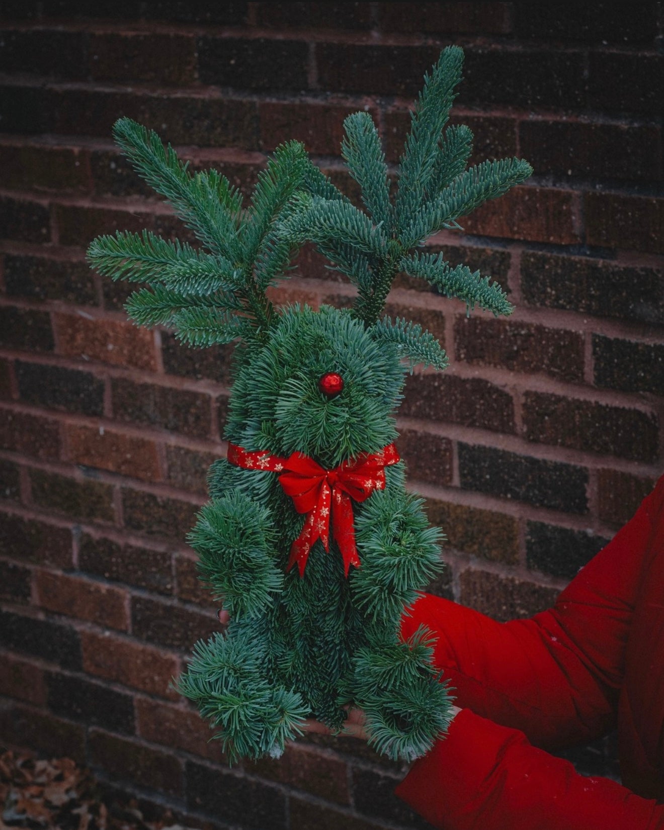 A handmade deer figure made of green Noble Fir with a red bow and a decorative red nose, held against a brick wall backdrop.