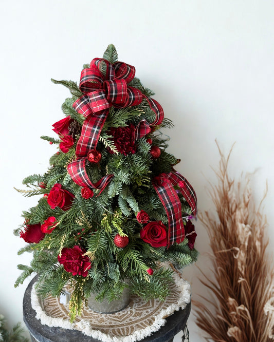 Winter Blooms Spruce
