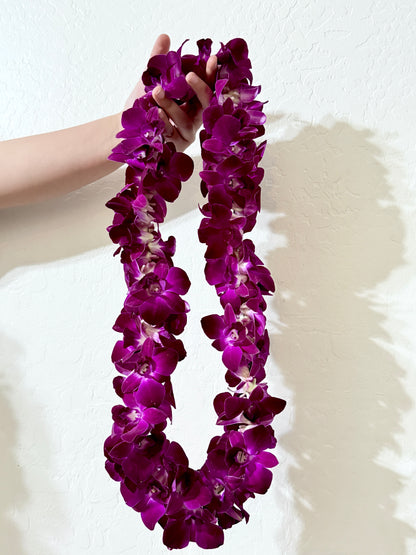 Graduation Hawaiian Orchid Lei